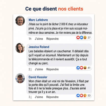 Sentinel — Gardez votre petit fugueur en sécurité à la maison