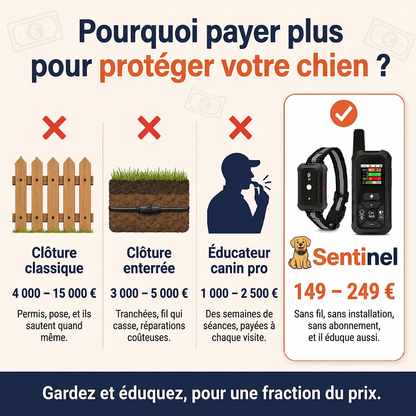 Sentinel — Gardez votre petit fugueur en sécurité à la maison
